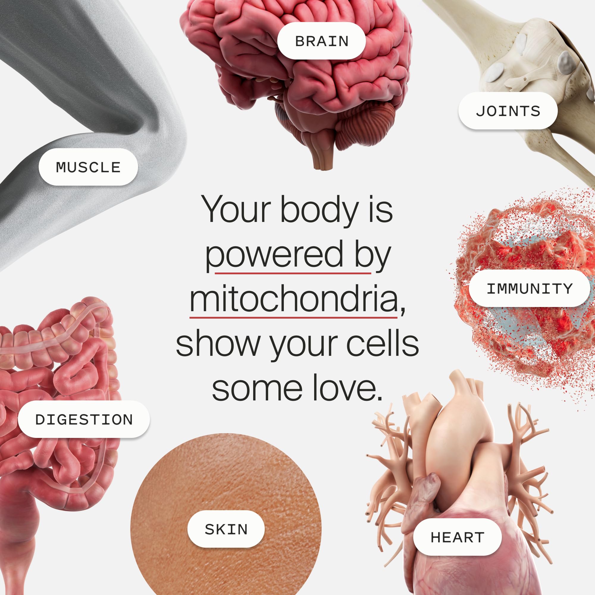 Timeline Mitopure package box showing USA-made vegan formulation