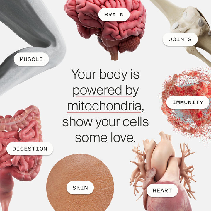Timeline Mitopure package box showing USA-made vegan formulation