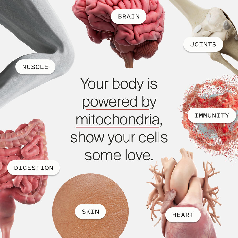 Timeline Mitopure package box showing USA-made vegan formulation