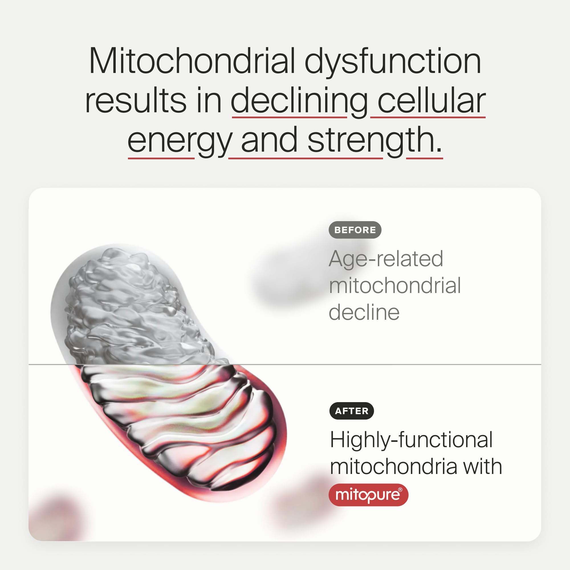 Timeline Mitopure NSF seal indicating third-party purity testing