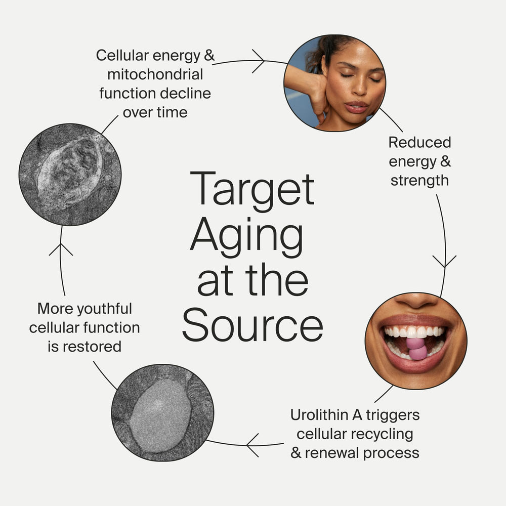 Timeline Mitopure Gummies vegan label promoting health-conscious daily routines.
