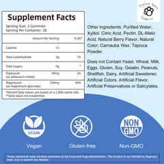 Tinies Bers Potassium Magnesium Gummies berry flavor sugar-free daily use