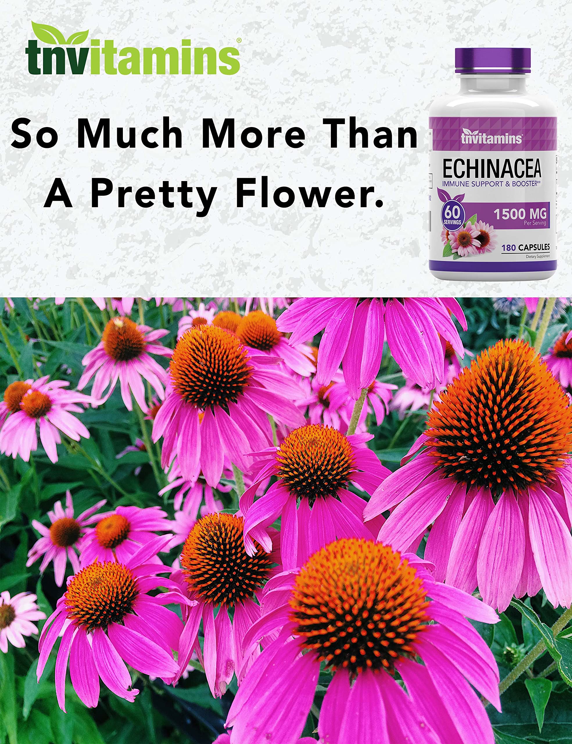 tnvitamins Echinacea packaging in hand for on-the-go use.