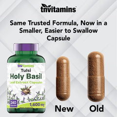 Ingredients panel highlights Tulsi adaptogen for traditional daily wellness