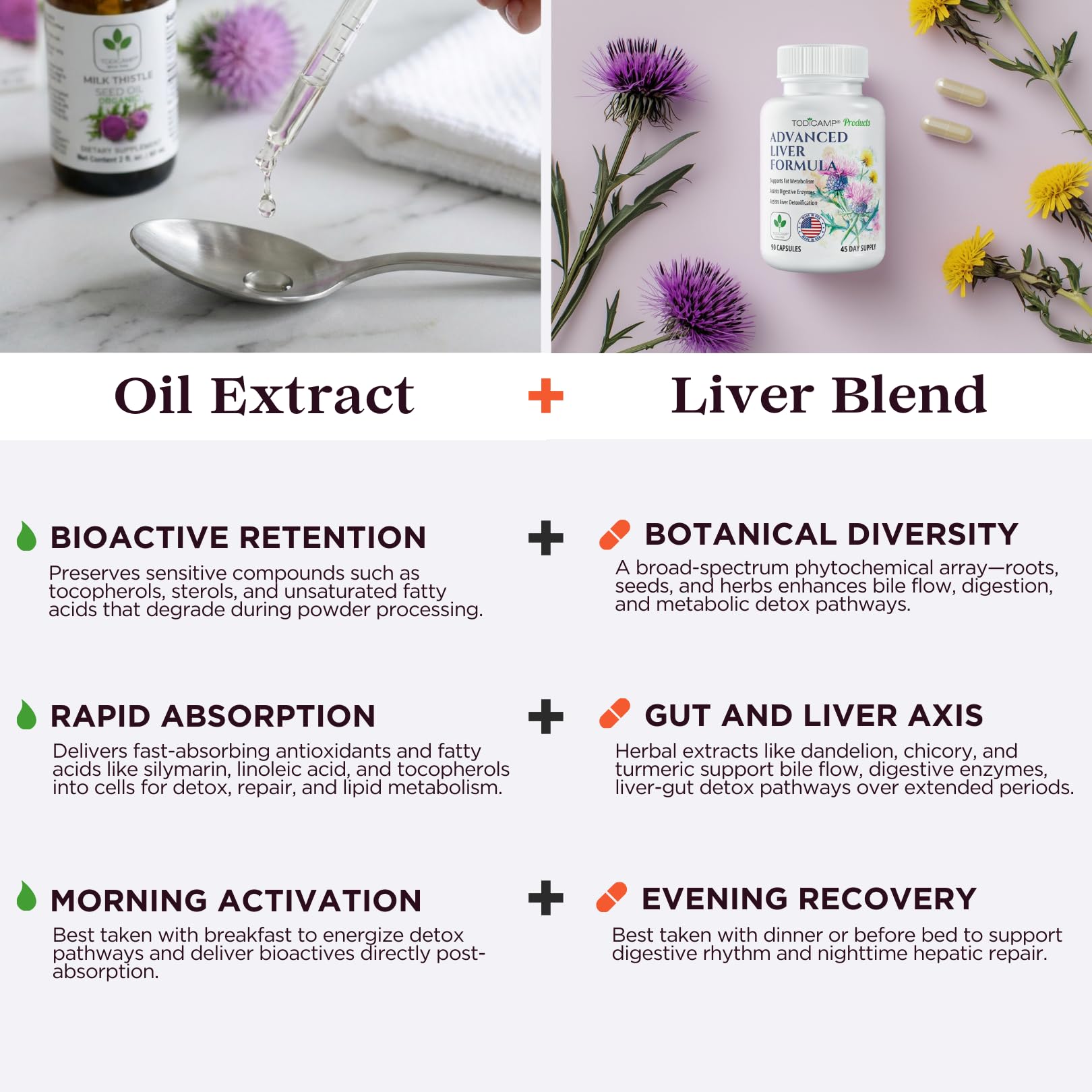 TODICAMP Milk Thistle Seed Oil Extract close-up of smooth, pleasant-tasting liquid.