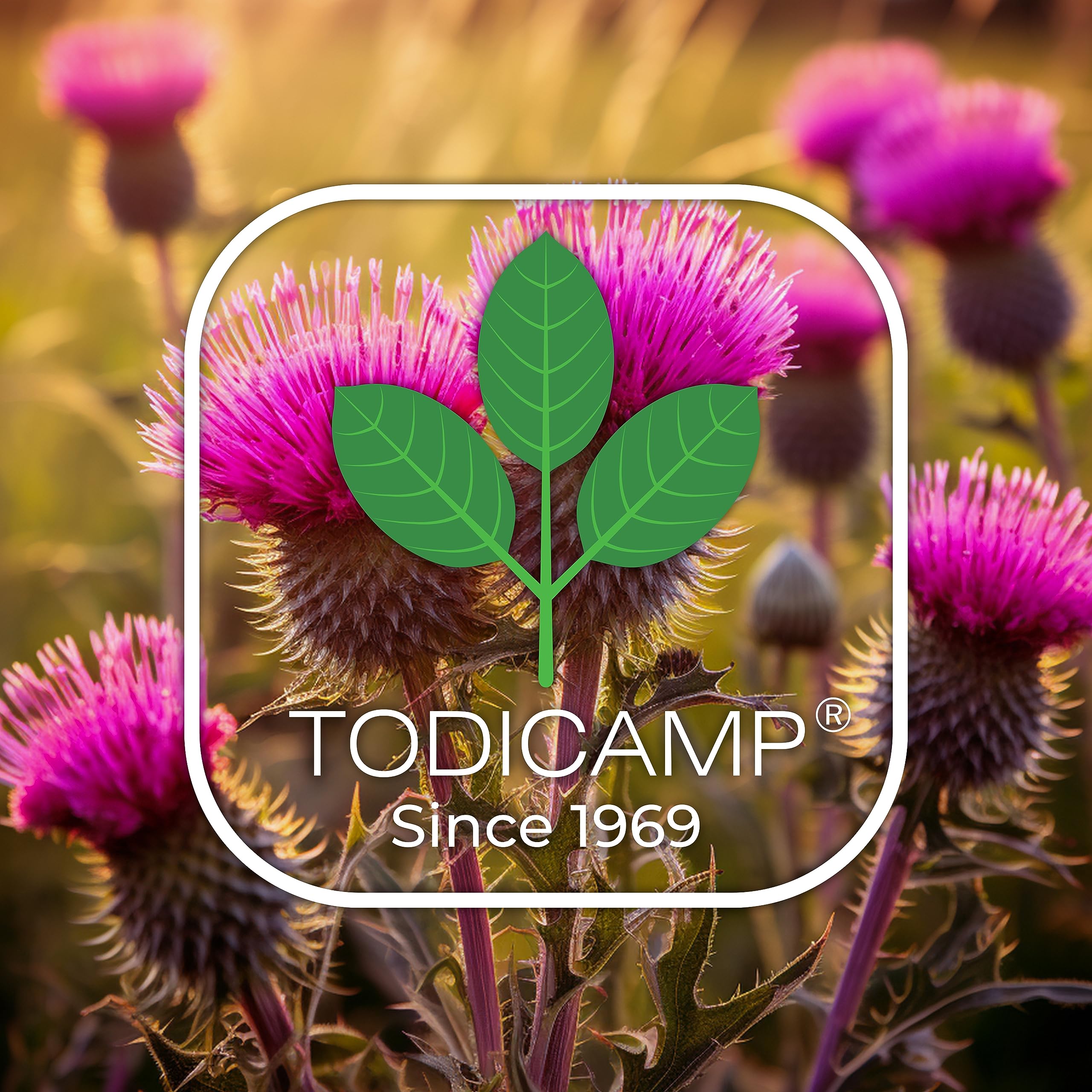 TODICAMP Milk Thistle Seed Oil Extract bottle with dropper design for convenient dosing.