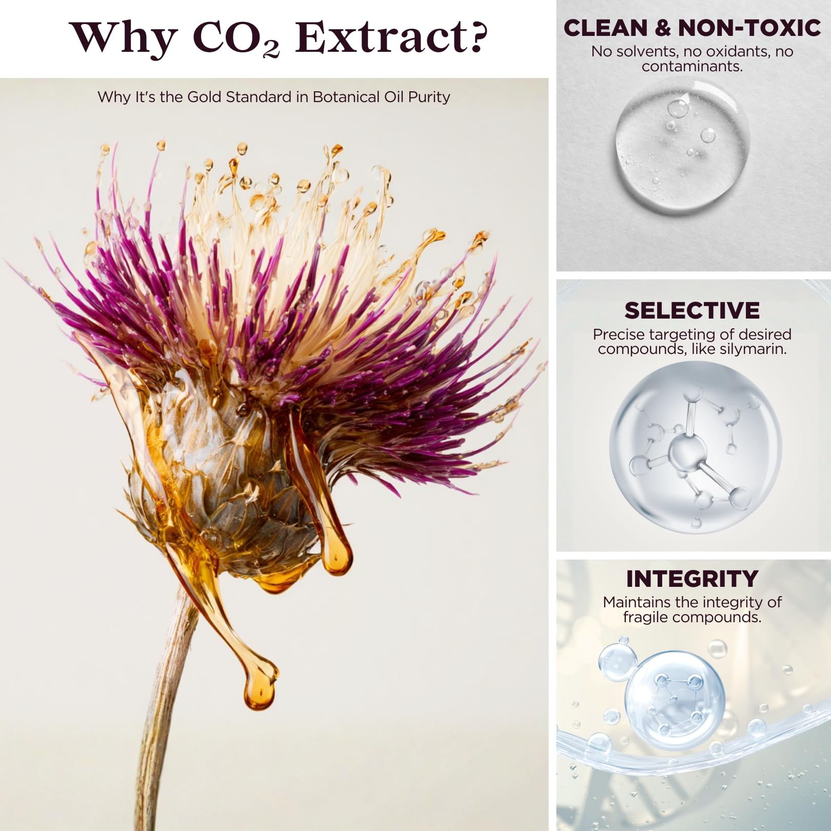 TODICAMP Milk Thistle Seed Oil Extract label highlights vegan, non-GMO and gluten-free ingredients.