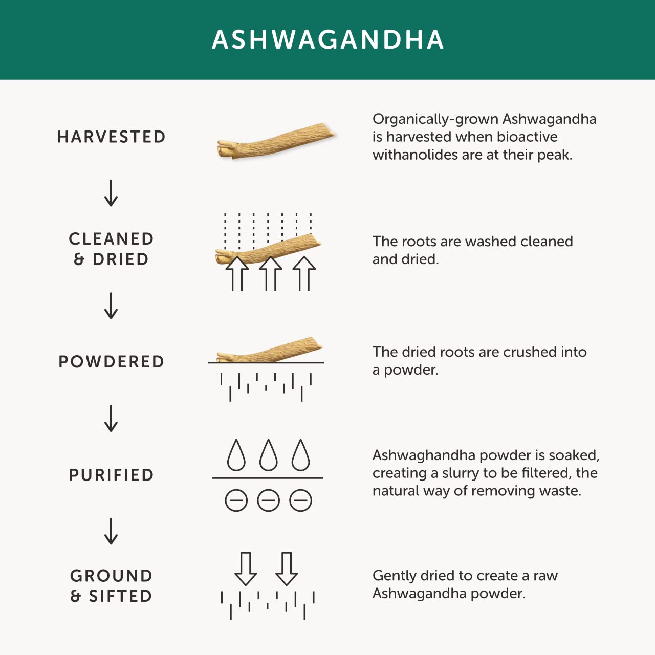 Together Ashwagandha capsules on shelf ready for daily routine.