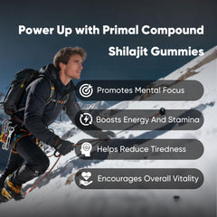 Premium Himalayan Shilajit highlight emphasizing mineral-rich formula