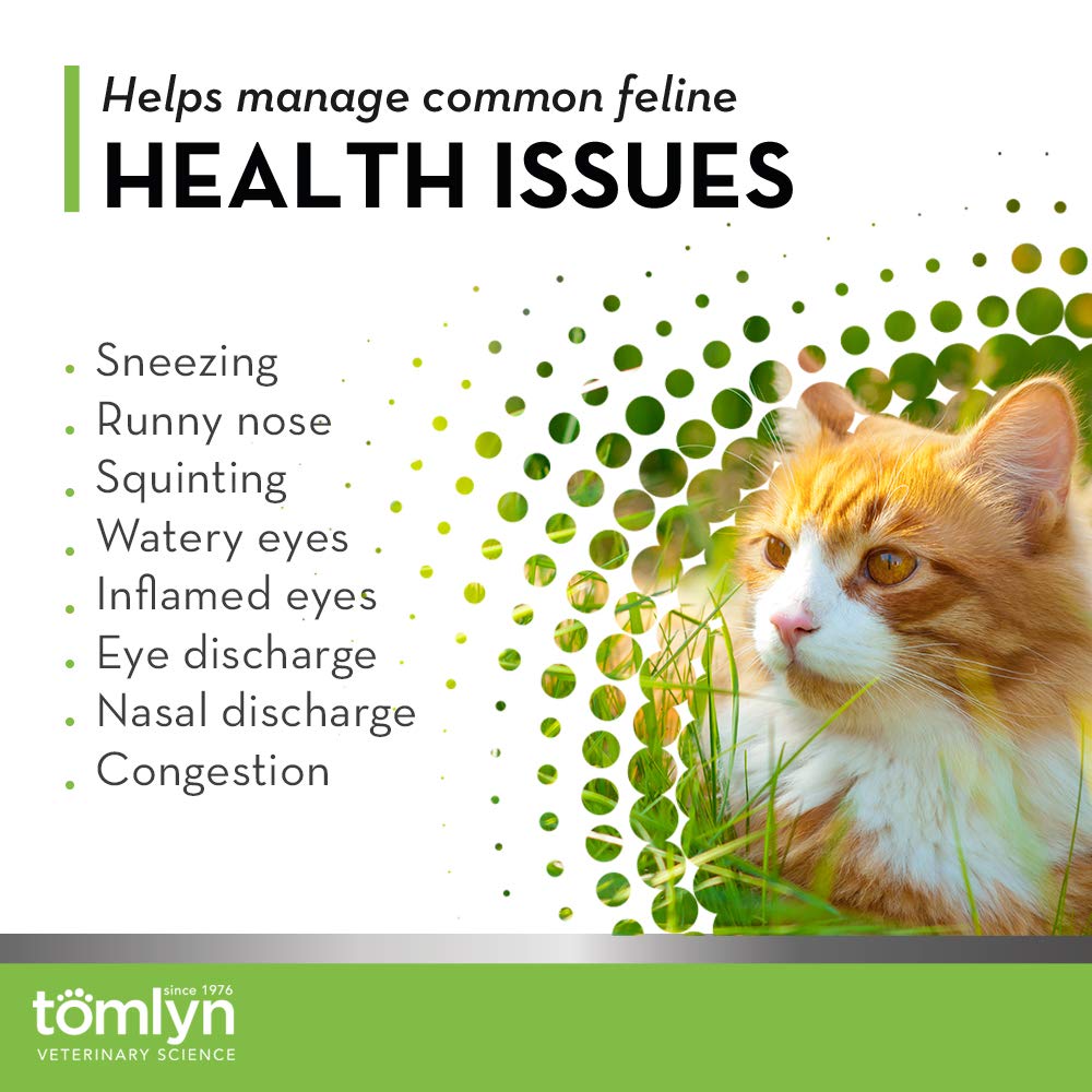 Tomlyn cat immune-support eye health close-up indicates potential eye comfort support.