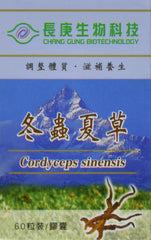 Tonicology Cordyceps Sinensis bottle for daily vitality support.
