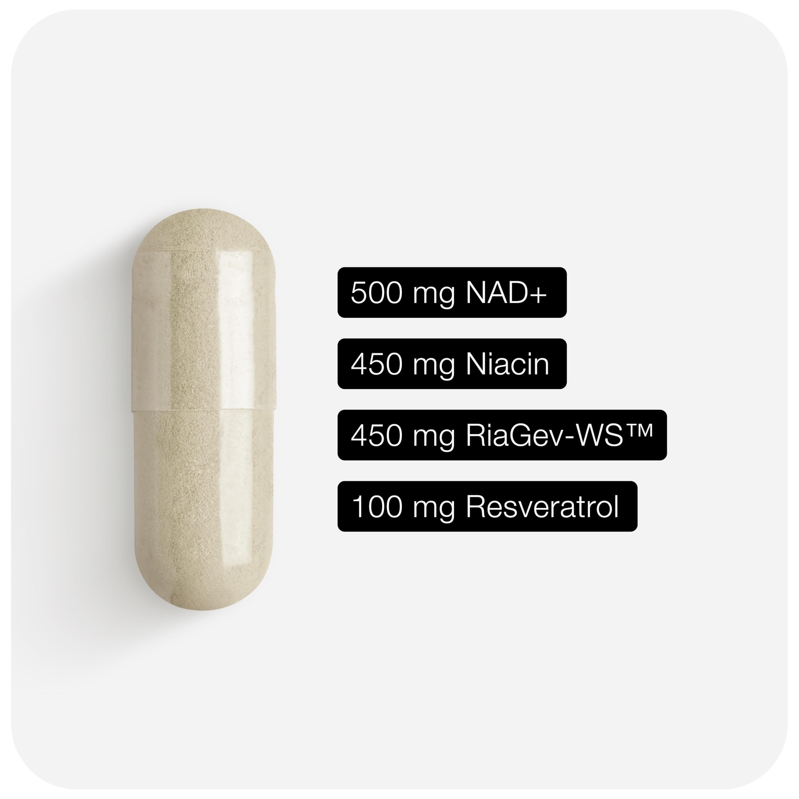 Toniiq NAD+ capsules close-up for easy daily use.