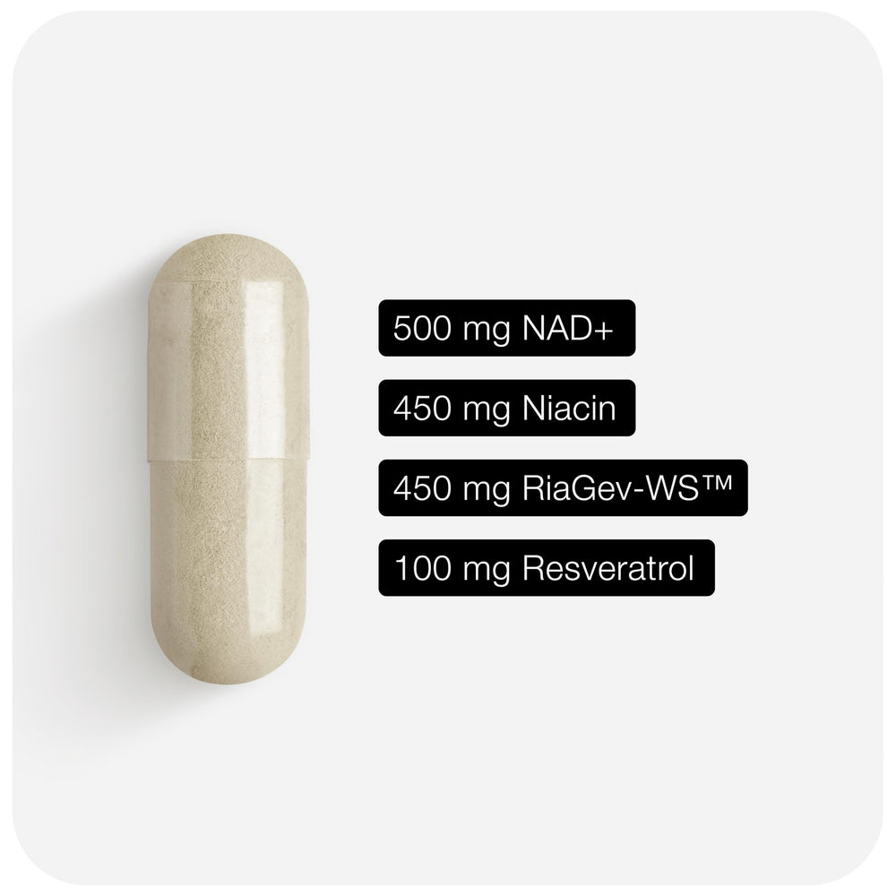 Toniiq NAD+ capsules close-up for easy daily use.