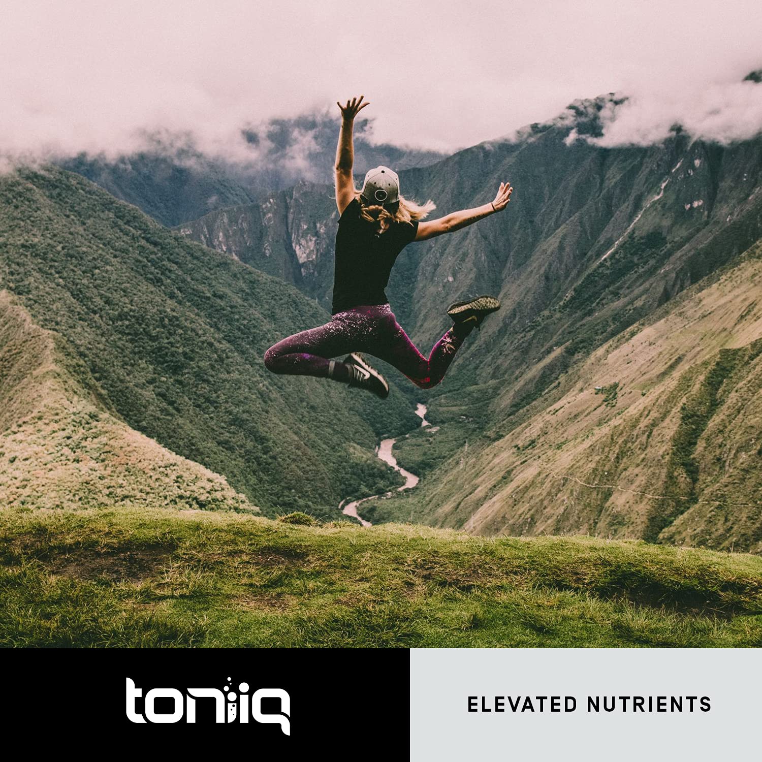 Toniiq Quercetin Capsules label readout showing 95% purity and 1000mg