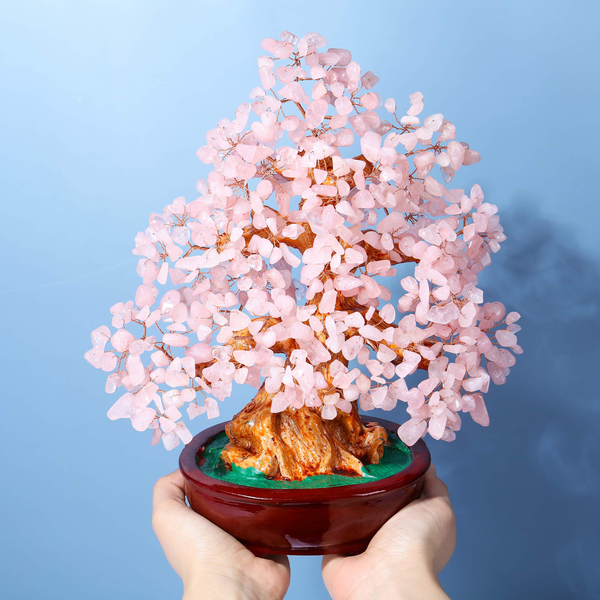Top Plaza Money Tree office decor promoting prosperity and positive ambience