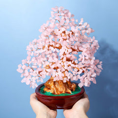 Top Plaza Money Tree office decor promoting prosperity and positive ambience