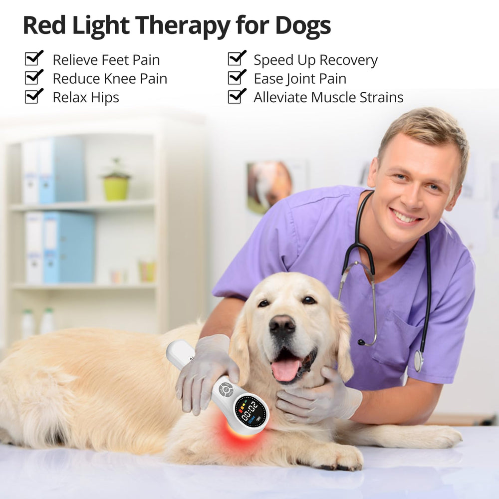 Toponechoice red light device for horses used in stable settings for routine care