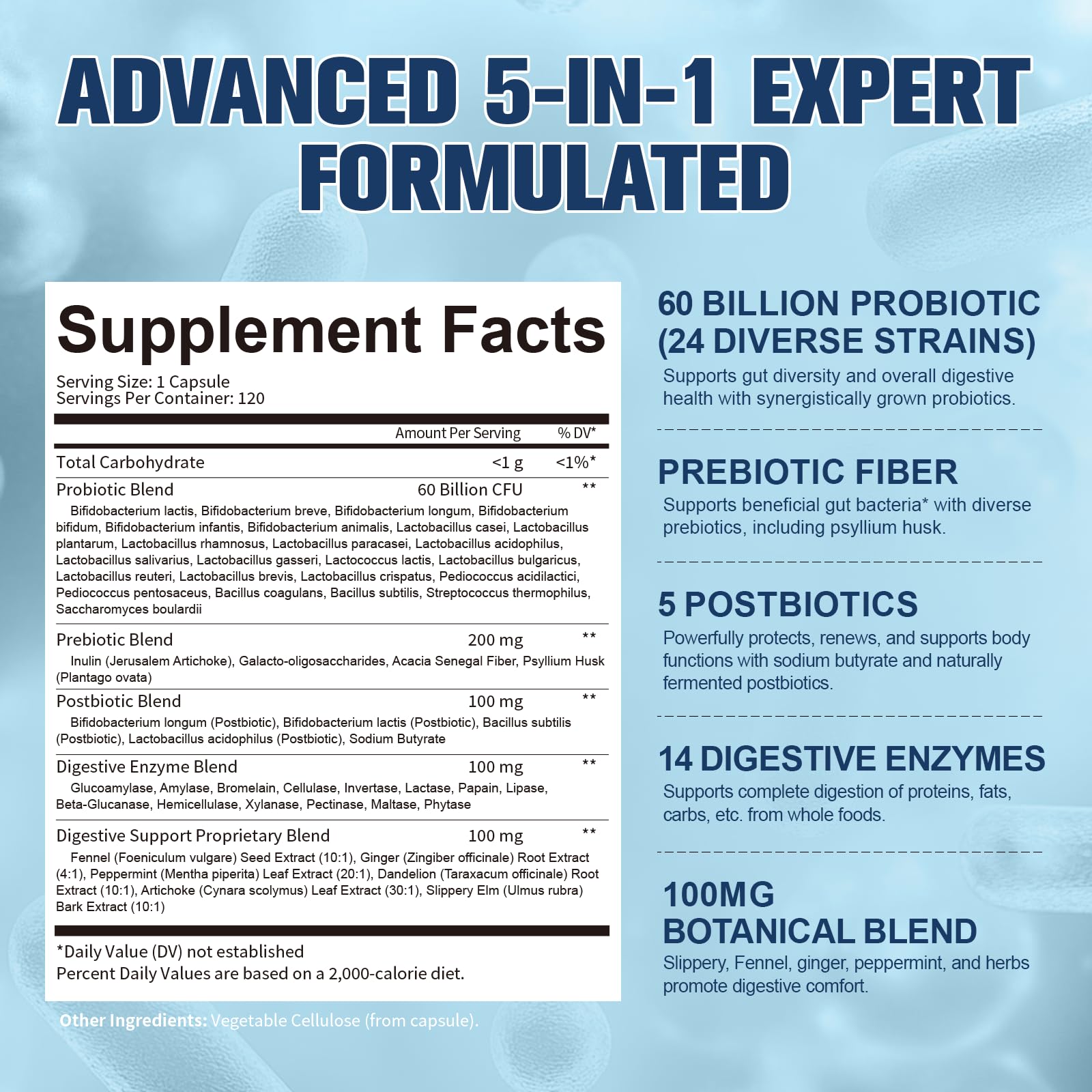 Totaria-24-strains-graphic illustrates diverse probiotic strains for gut diversity.