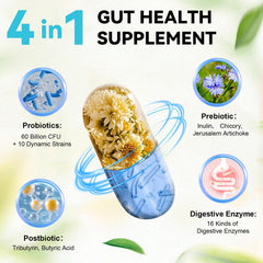 Totaria 60B CFU probiotics bottle with dynamic strains for gut balance