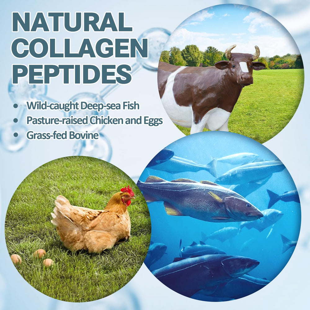 Totaria Collagen Pro Vitamin A image suggests antioxidant support for glow.