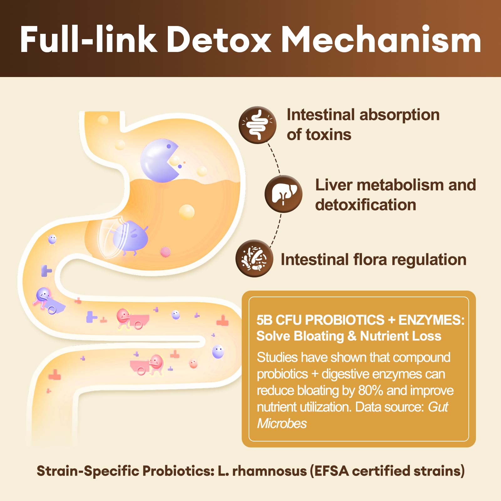 Totaria detox ingredients closeup highlighting diatomaceous earth.