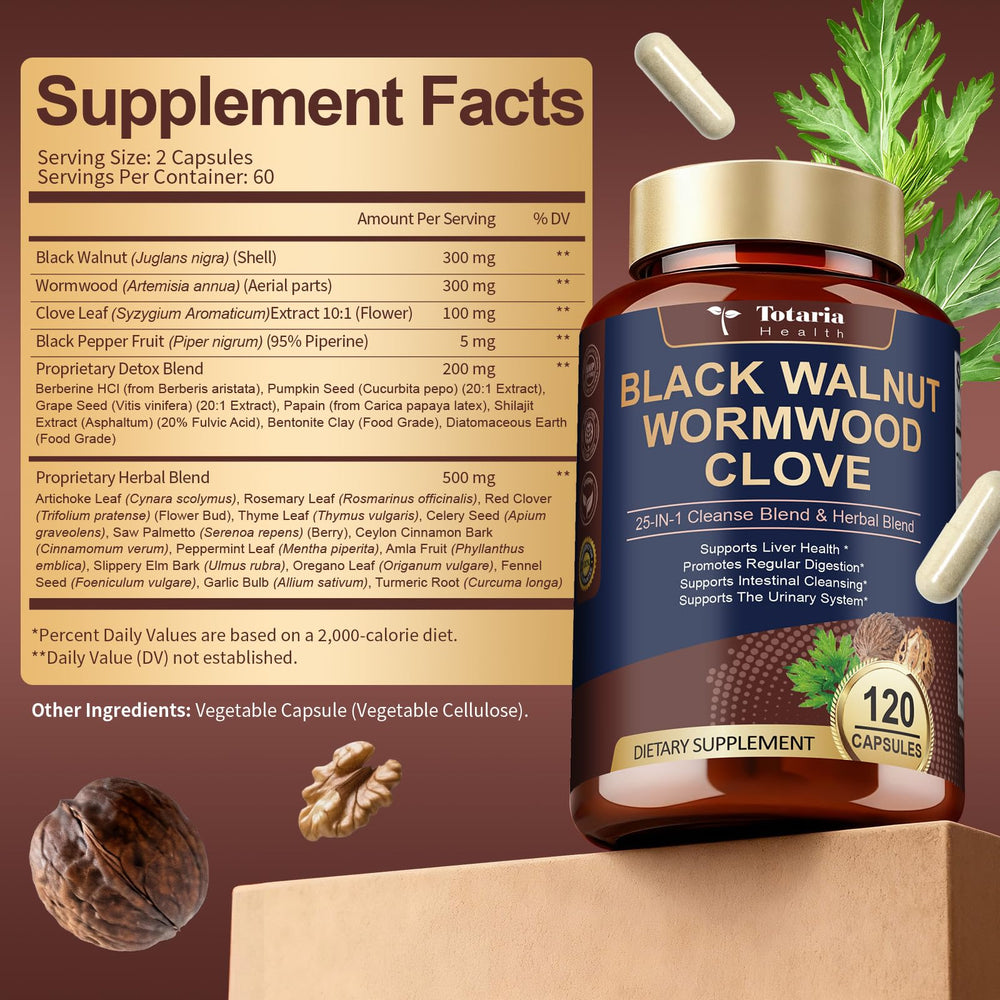 Totaria digestive health illustration conveys balanced digestion and everyday wellness.