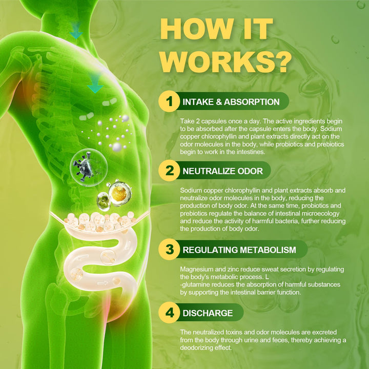 Totaria gut health capsules reveal 12B CFUs for balance.