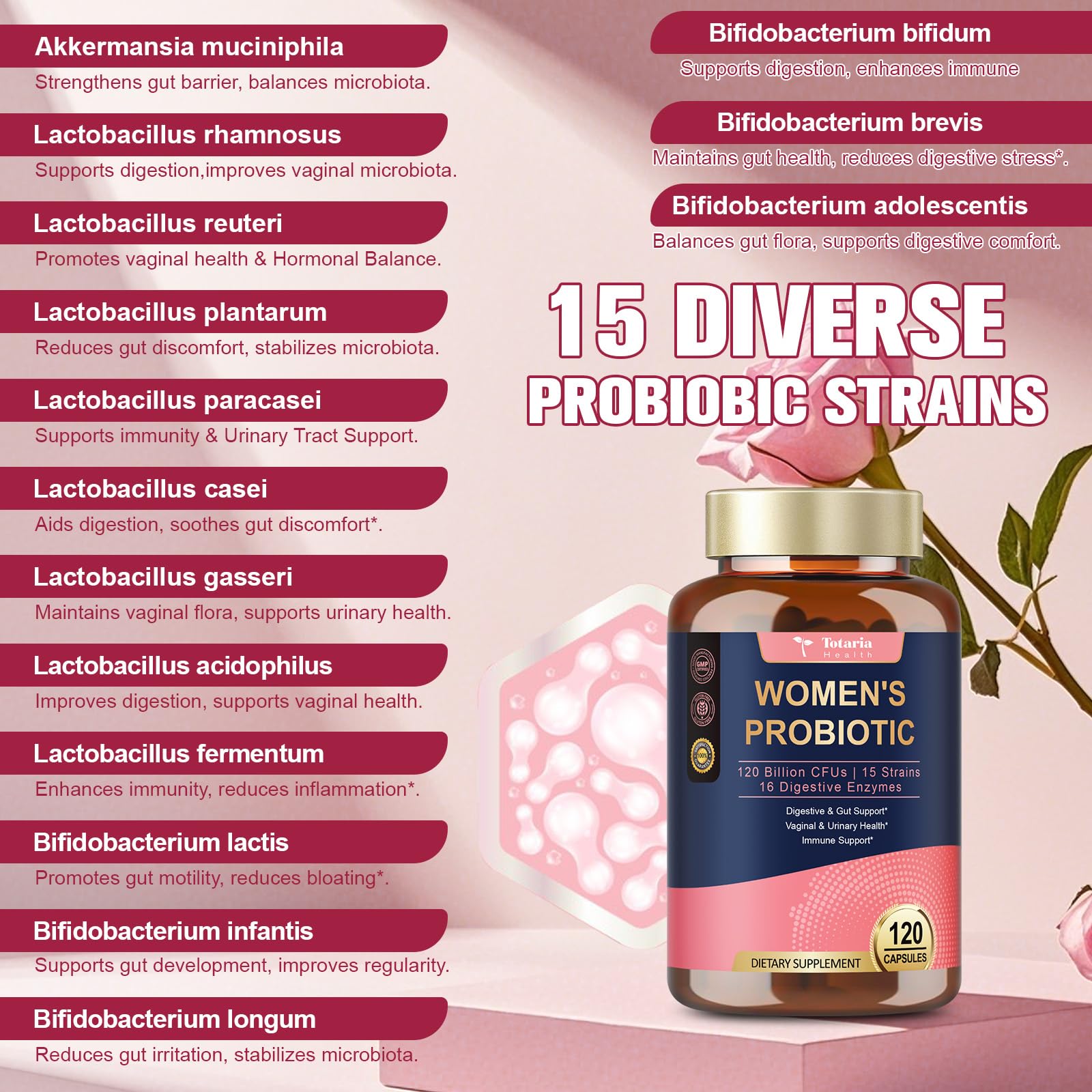 Totaria Probiotics digestive enzymes blend image highlights protein, fat and fiber breakdown.