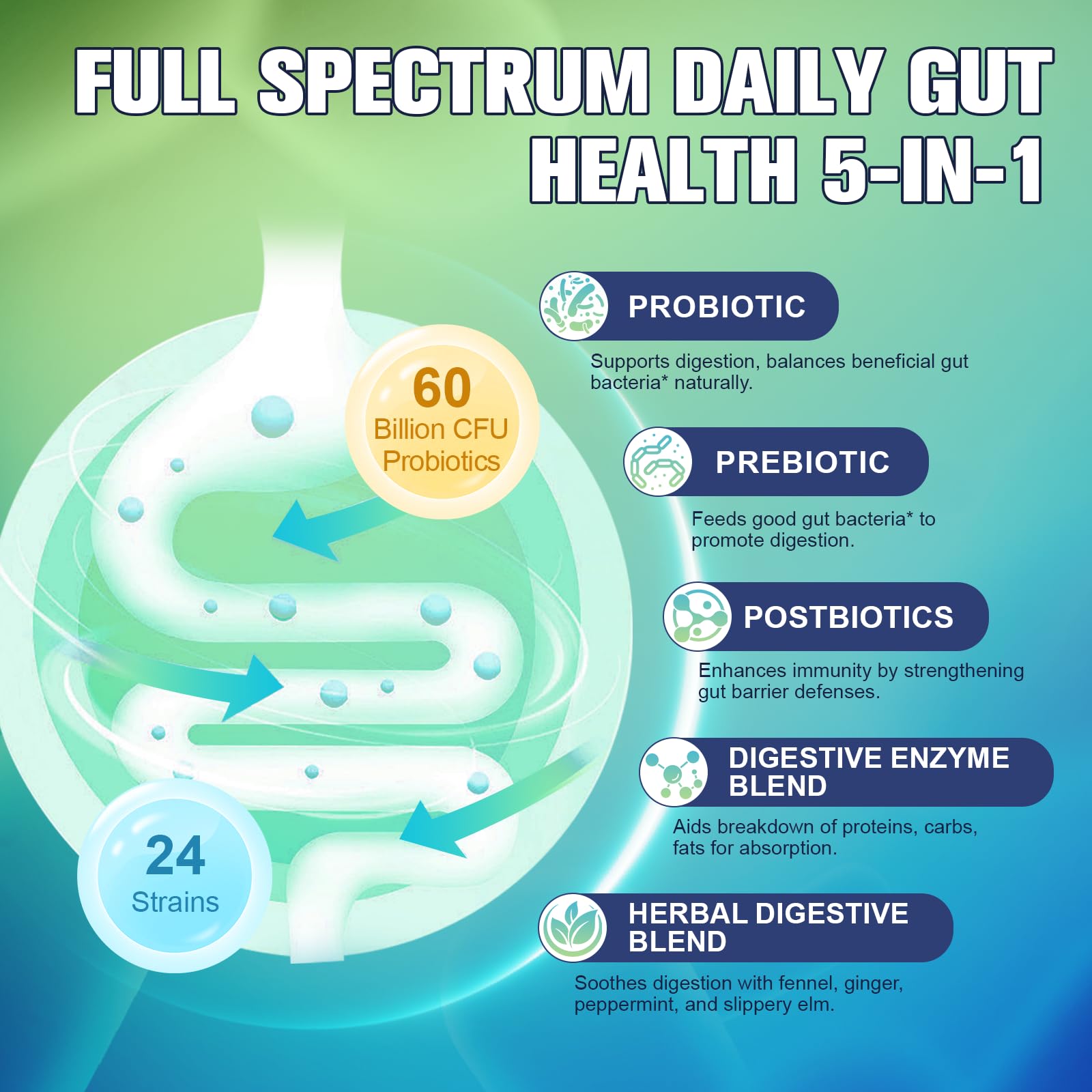Totaria psyllium husk fiber promotes daily digestive balance