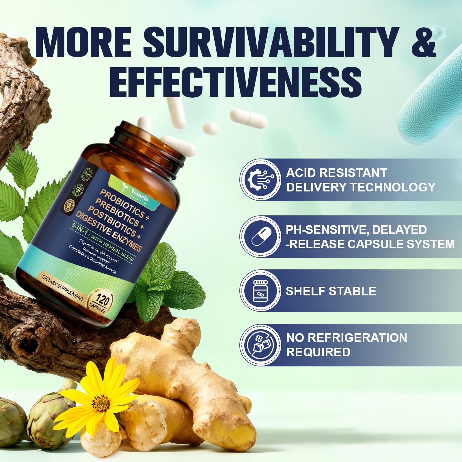 Totaria sodium butyrate postbiotic energizes colon cells
