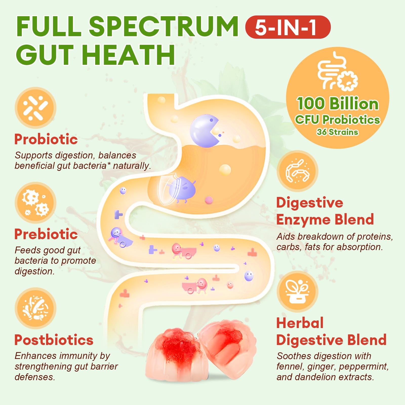 Totaria 5-in-1 gummy label close-up showing 100B CFU and strains