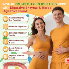 Totaria two gummies serving illustrates easy daily dose for gut balance