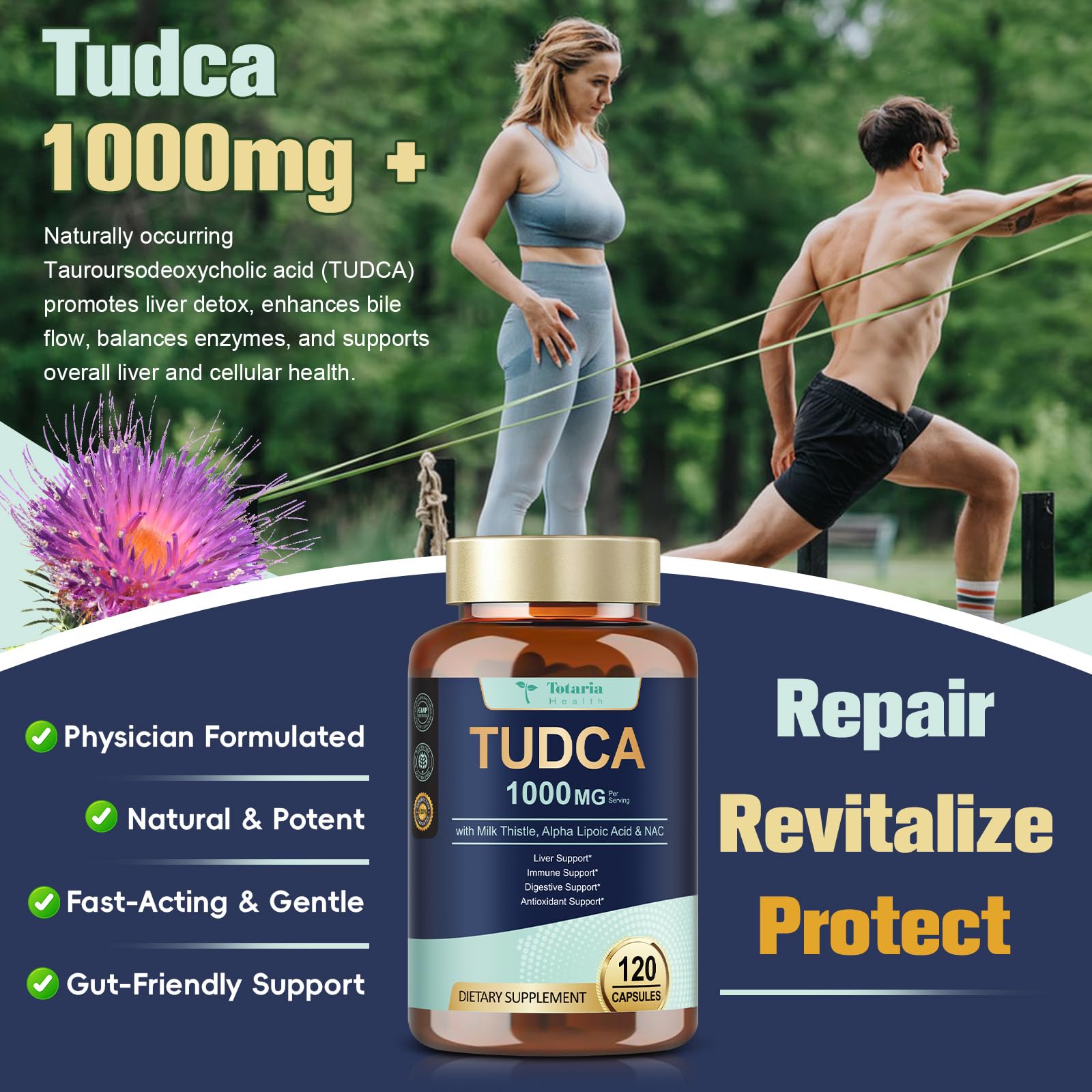 Totaria Tudca alpha-lipoic acid visual emphasizes oxidative balance.