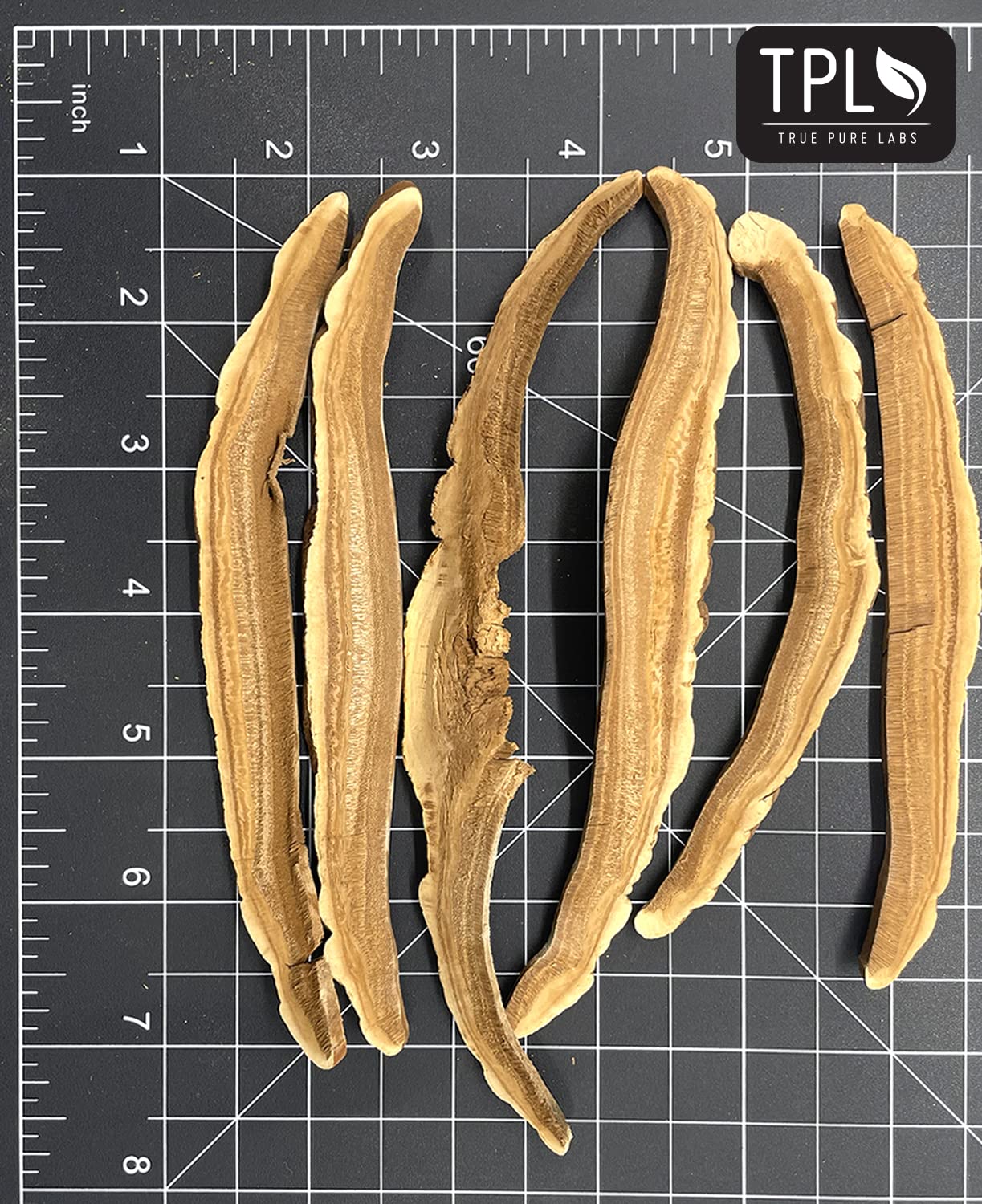 TPL Organic reishi packaging signals premium quality and purity.