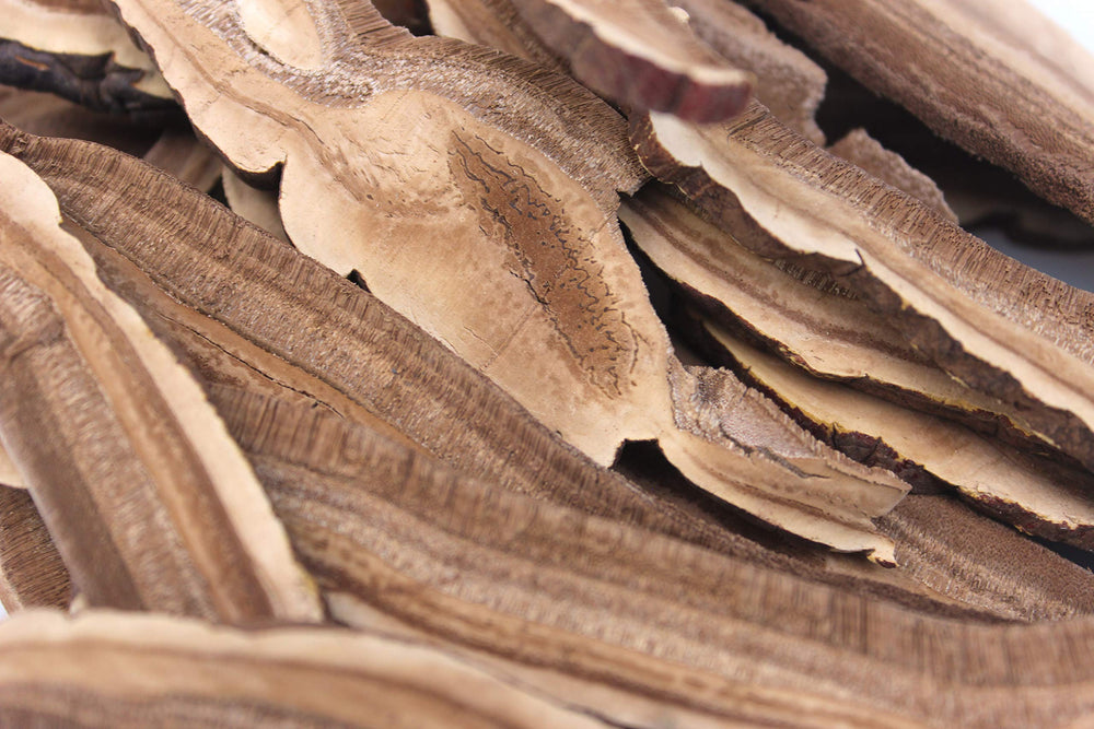 TPL Reishi tea ready slices offer a woodsy infusion with aroma.