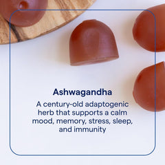 Trace Minerals Ashwagandha gummies close-up highlighting chewable calm support