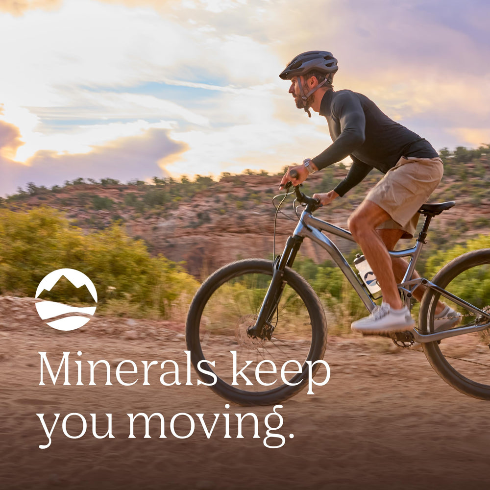 Trace Minerals Shilajit Honey Sticks energy-boost on morning routine