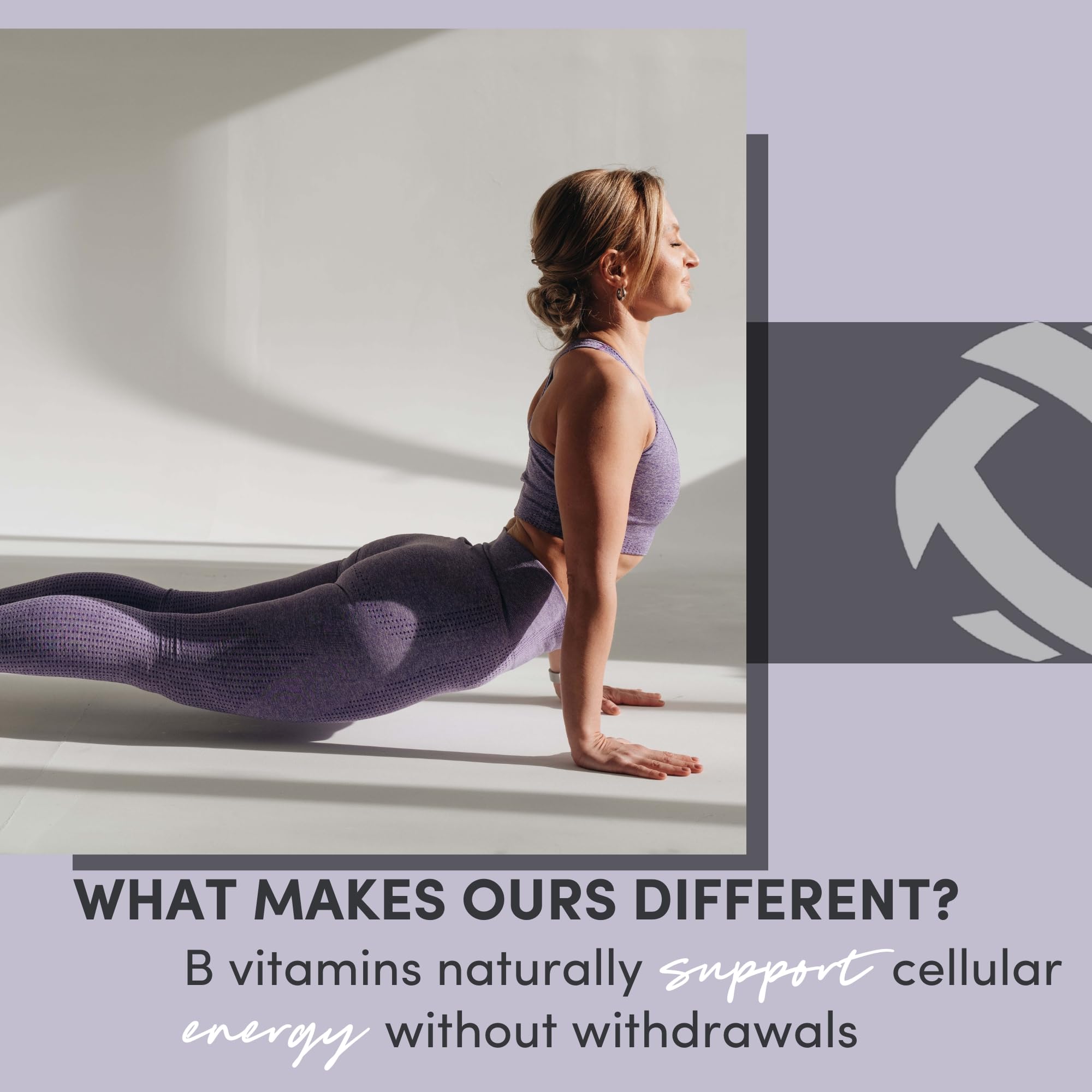 Tranont Focus ingredients green tea and lion’s mane for cognitive balance