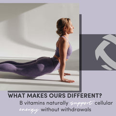 Tranont Focus ingredients green tea and lion’s mane for cognitive balance
