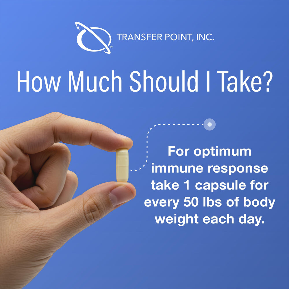 Transfer Point pet-friendly capsules suitable for dogs.