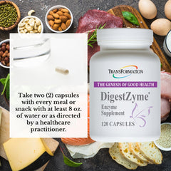 TRANSFORMATION DigestZyme probiotics graphic—L. acidophilus and B. longum support digestive comfort.