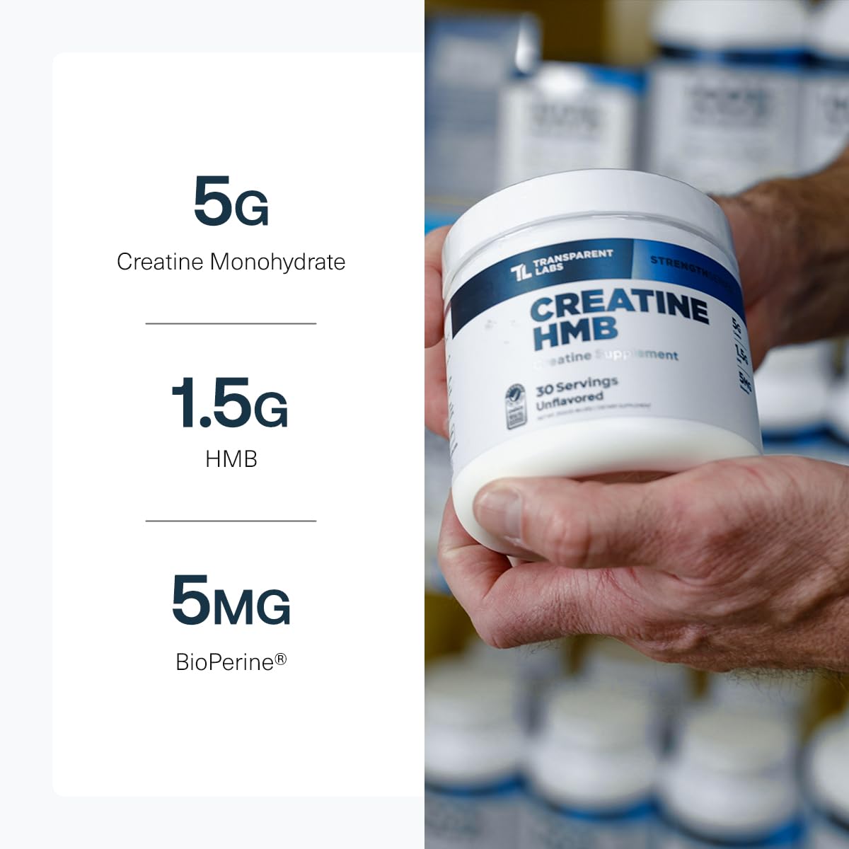 Transparent Labs Creatine HMB fresh ingredients highlight premium formula and purity.