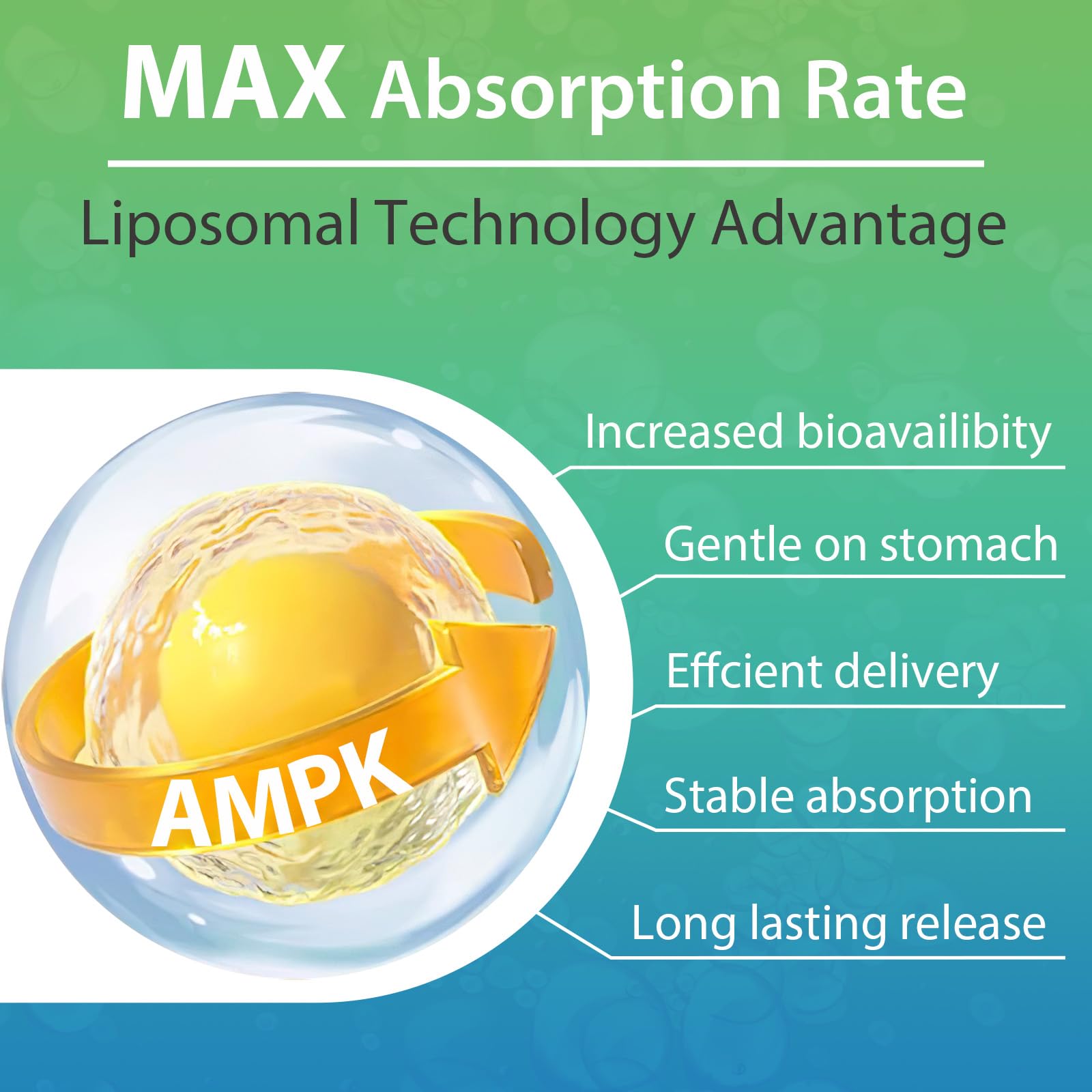Trasicolor AMPK Activator label detail features berberine, resveratrol, quercetin blend