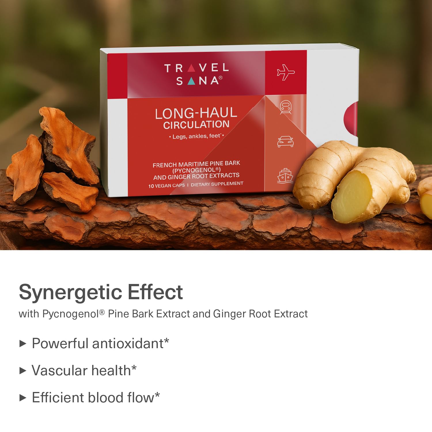 Capsules close-up featuring Pycnogenol and ginger extract for travel circulation support.