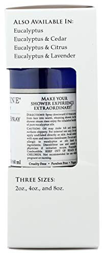 Travertine Spa Steam Shower spray travel cap image conveys mess-free portability.