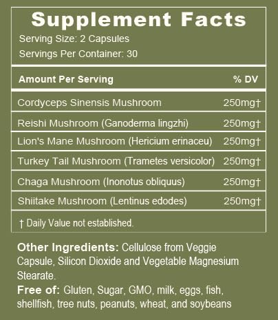 Close-up of Tree of Life Immunity blend capsules supporting daily digestion
