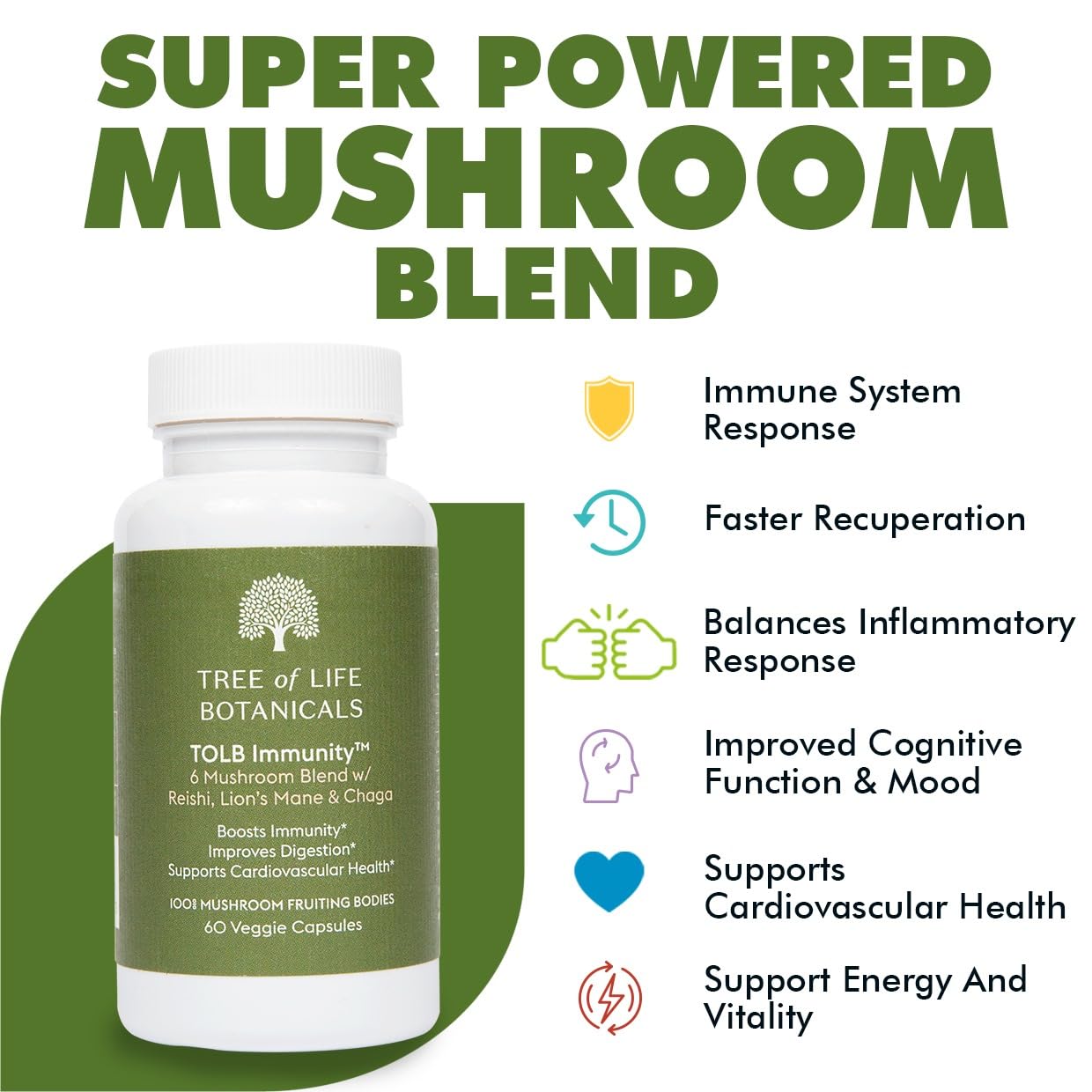 Reishi mushroom close-up from Tree of Life Immunity formula suggesting steady energy