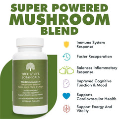 Reishi mushroom close-up from Tree of Life Immunity formula suggesting steady energy