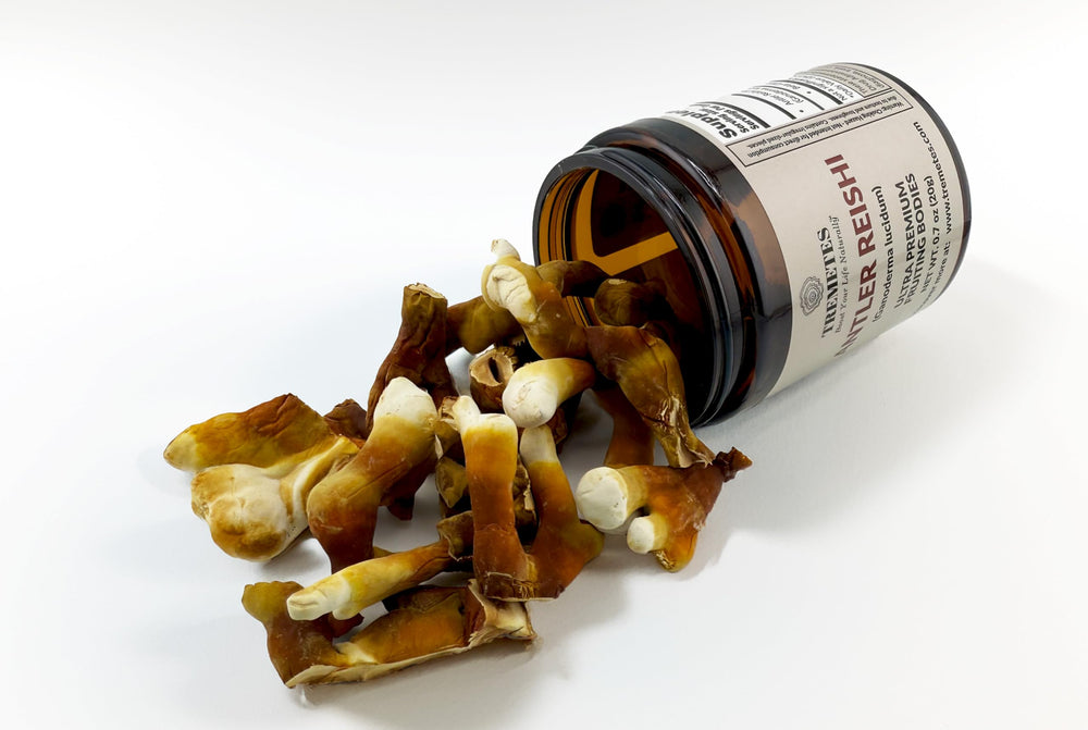 Tremetes Antler Reishi lab-test label highlights 37.8% beta-glucans for quality.