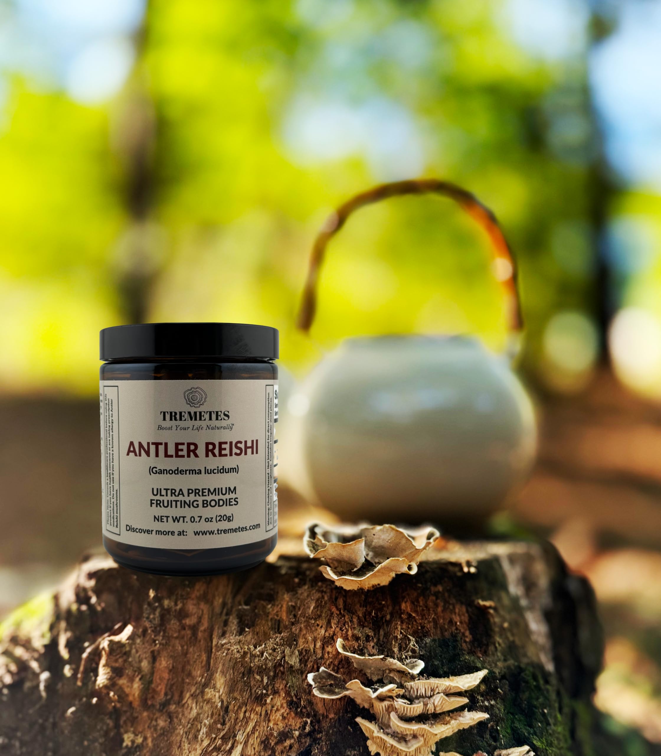 Tremetes Antler Reishi tea brew in a warm cup releasing earthy aroma.